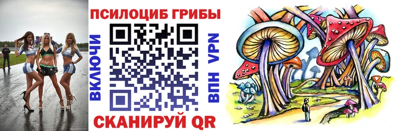 Псилоцибиновые грибы MAGIC MUSHROOMS  продажа наркотиков  гидра онион  Новопавловск 