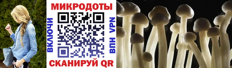 Псилоцибиновые грибы GOLDEN TEACHER Новопавловск